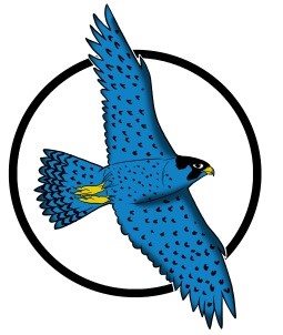 quick link picture for Falcon Flyer 