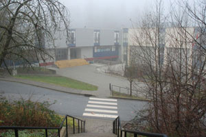 Foggy day at PMSS.jpg
