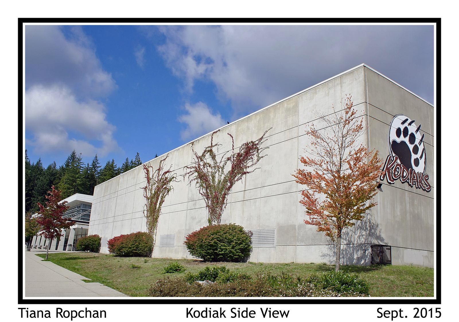 Kodaik Side View.jpg