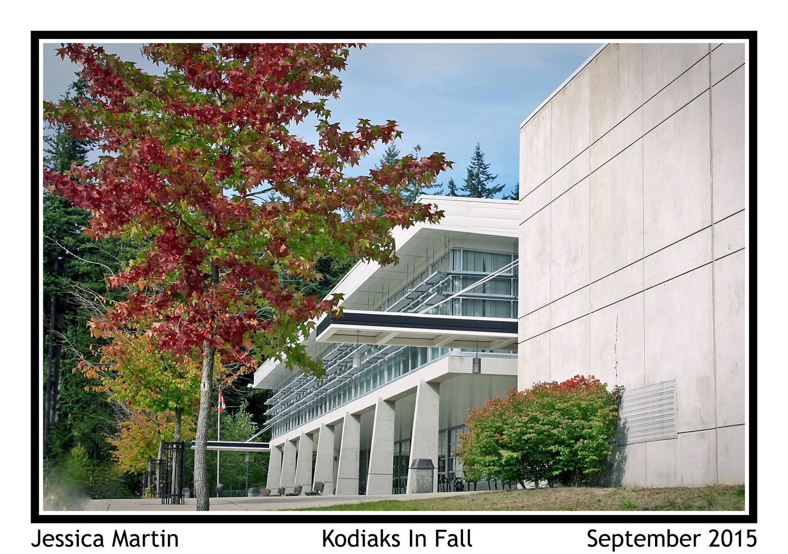 Kodiaks in the Fall.jpg