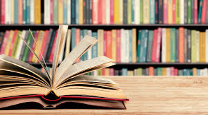 library-books-for-llc-site.baac635949.jpg