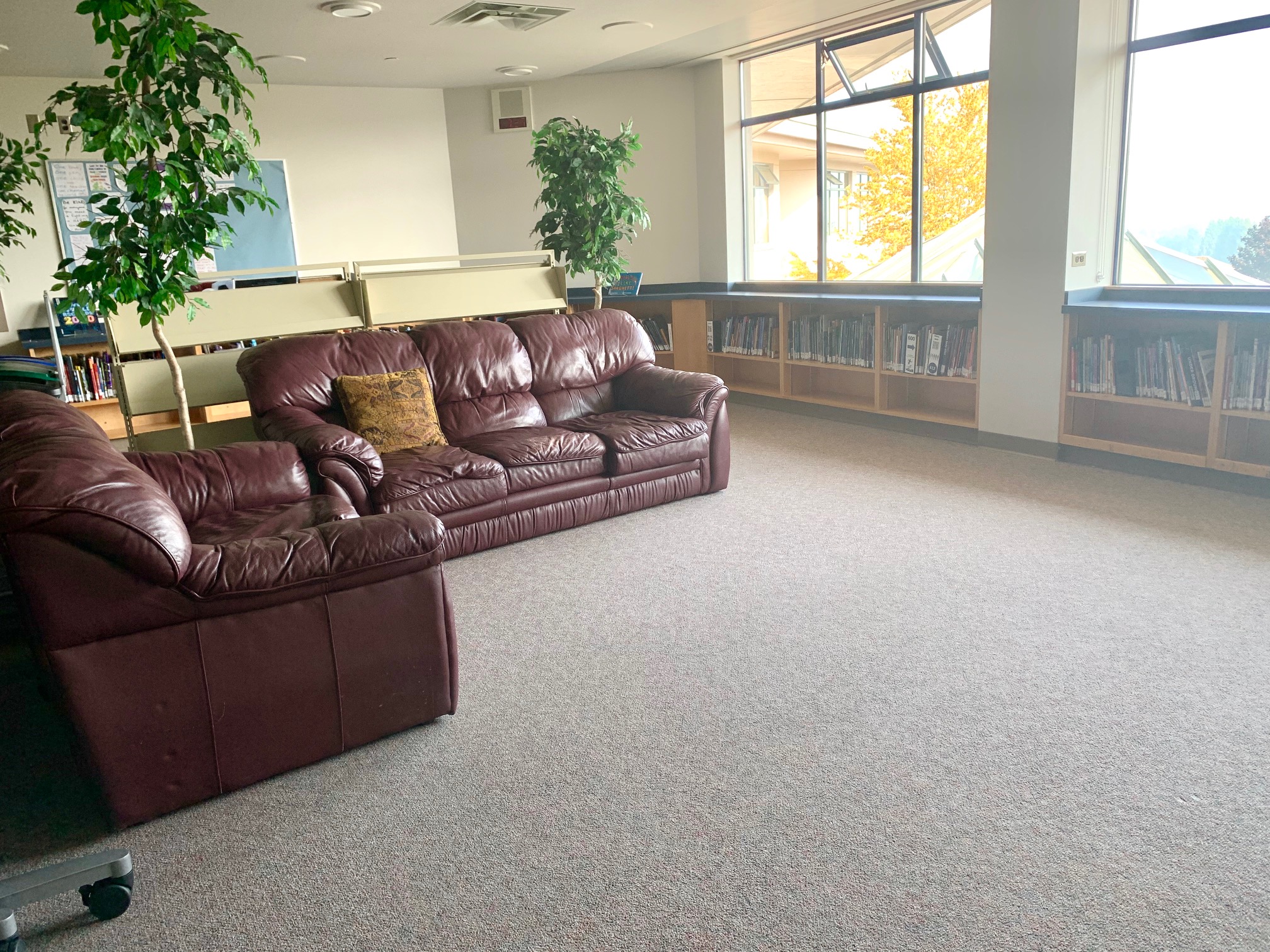 Library.jpg