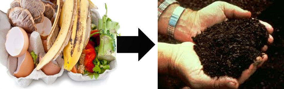 Organics Composting hand with soil organic waste.jpg