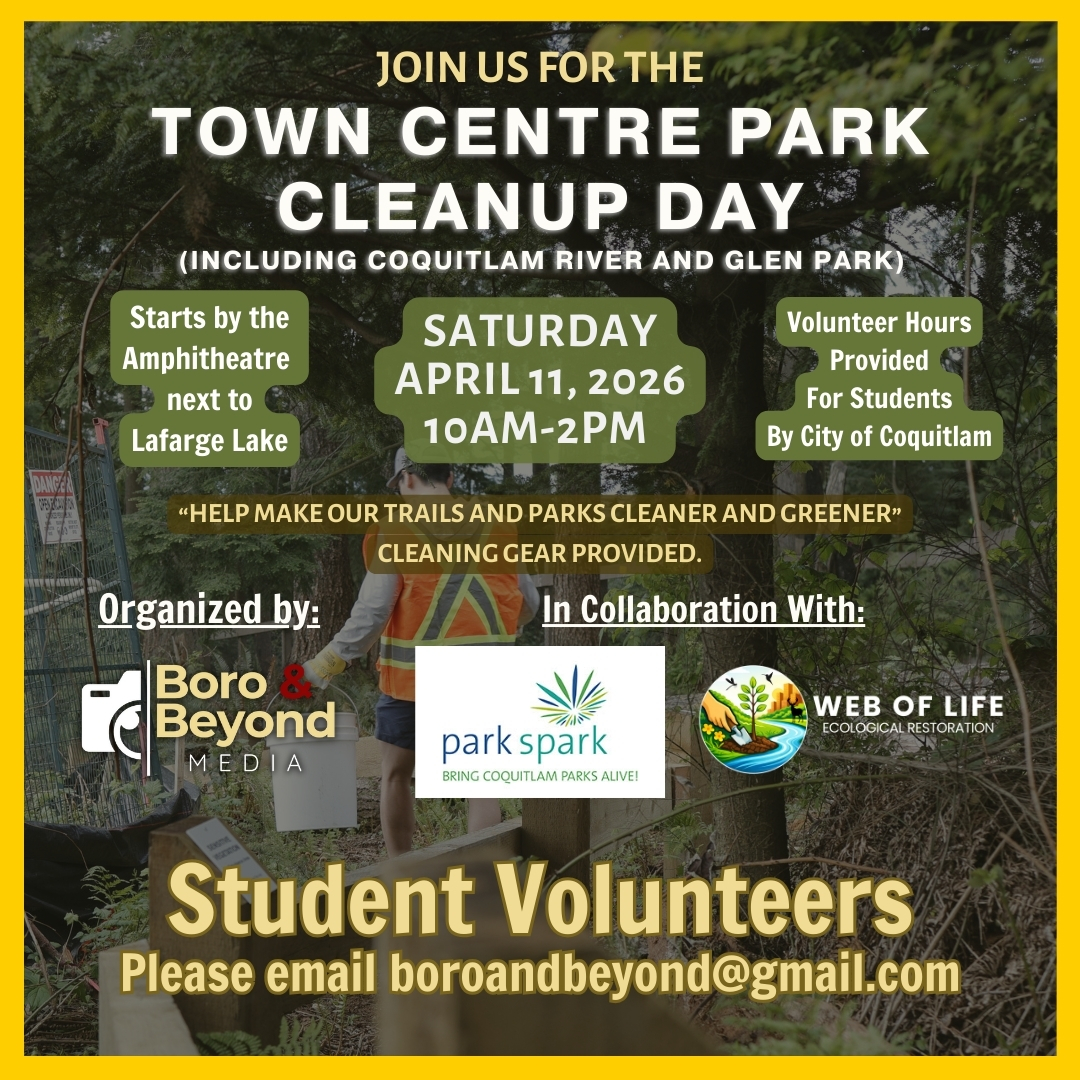 town-centre-cleanup-poster.36902d2874.jpg