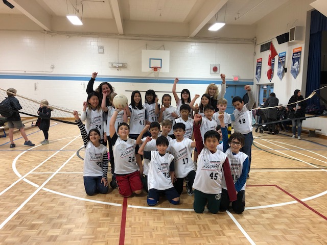 volleyball.5155d76894.jpg