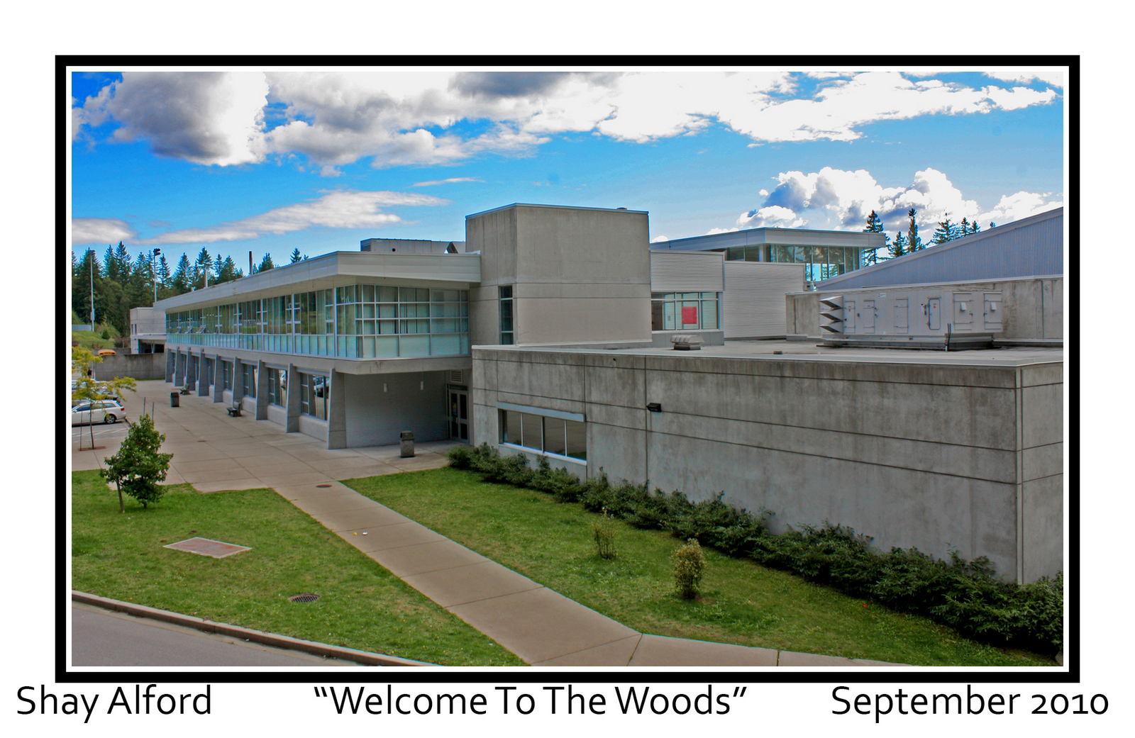 Welcome to the Woods.jpg