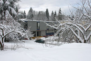 Winter Wonderland.jpg